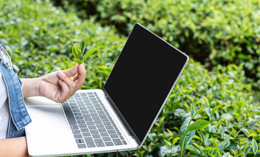 mygreenbux.net