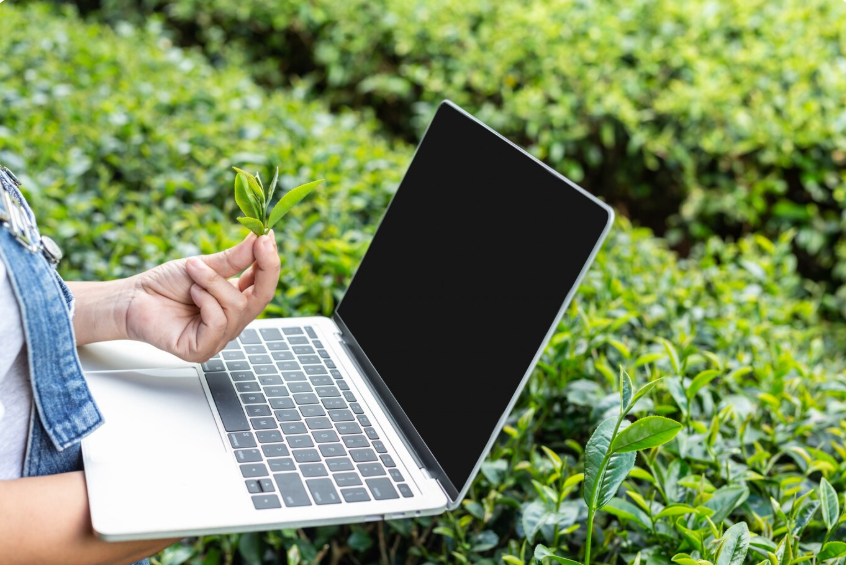 mygreenbux.net